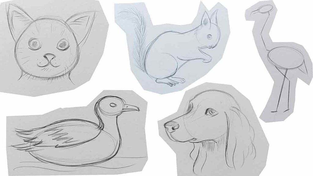 animal sketching